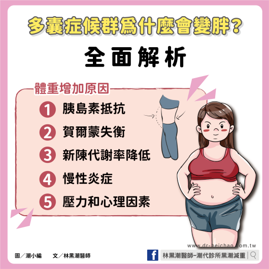 多囊症候群為什麼會變胖？全面解析 / 文：林黑潮醫師